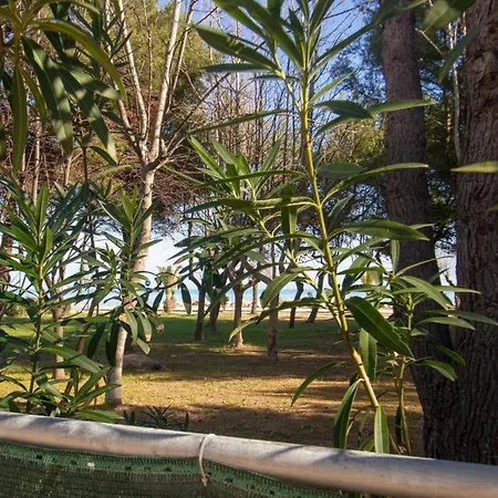 La Pineta Sud - Myho Casa * Martinsicuro