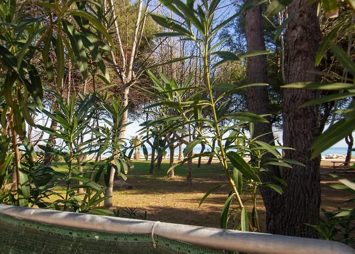 La Pineta Sud - Myho Casa * Martinsicuro